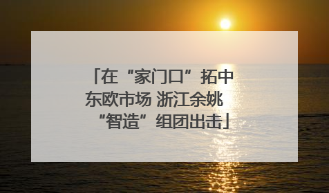 在“家门口”拓中东欧市场 浙江余姚“智造”组团出击