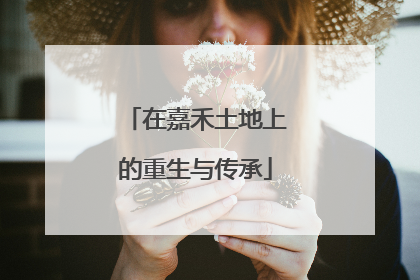 在嘉禾土地上的重生与传承