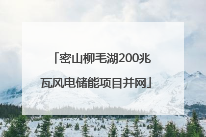 密山柳毛湖200兆瓦风电储能项目并网