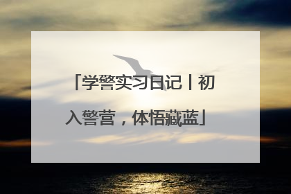 学警实习日记丨初入警营，体悟藏蓝