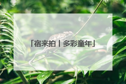 宿来拍丨多彩童年