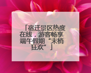 宿迁景区热度在线，游客畅享端午假期“末梢狂欢”