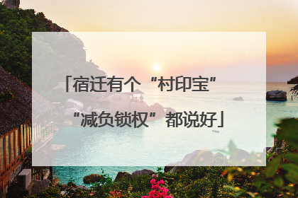 宿迁有个“村印宝” “减负锁权”都说好