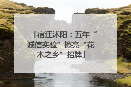 宿迁沭阳：五年“诚信实验”擦亮“花木之乡”招牌