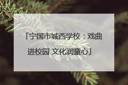 宁国市城西学校：戏曲进校园 文化润童心