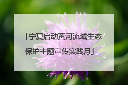 宁夏启动黄河流域生态保护主题宣传实践月