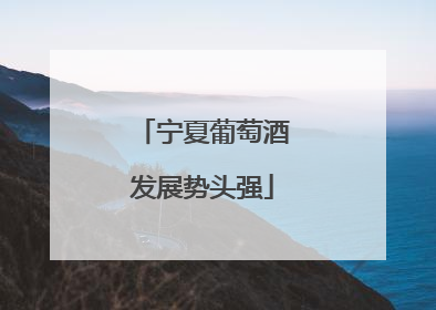 宁夏葡萄酒发展势头强