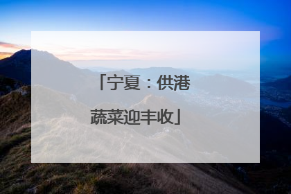 宁夏：供港蔬菜迎丰收