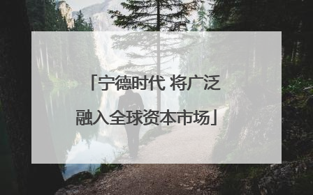 宁德时代 将广泛融入全球资本市场