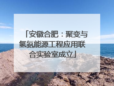 安徽合肥：聚变与氢氨能源工程应用联合实验室成立