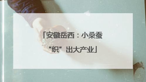 安徽岳西：小桑蚕“织”出大产业