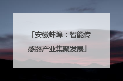安徽蚌埠：智能传感器产业集聚发展