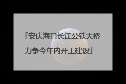 安庆海口长江公铁大桥力争今年内开工建设
