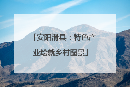 安阳滑县：特色产业绘就乡村图景