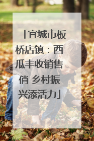 宜城市板桥店镇：西瓜丰收销售俏 乡村振兴添活力