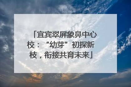 宜宾翠屏象鼻中心校：“幼芽”初探新枝，衔接共育未来