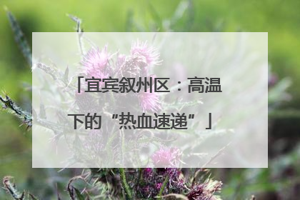 宜宾叙州区：高温下的“热血速递”