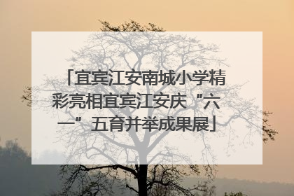 宜宾江安南城小学精彩亮相宜宾江安庆“六一”五育并举成果展