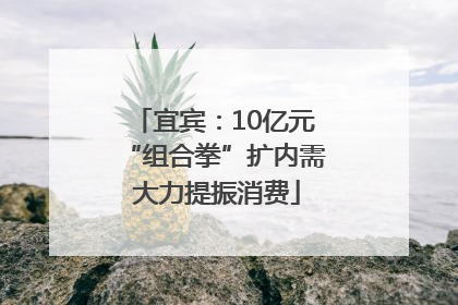 宜宾：10亿元“组合拳”扩内需 大力提振消费