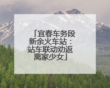 宜春车务段新余火车站：站车联动劝返离家少女