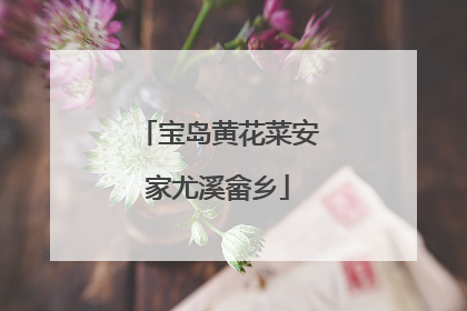 宝岛黄花菜安家尤溪畲乡