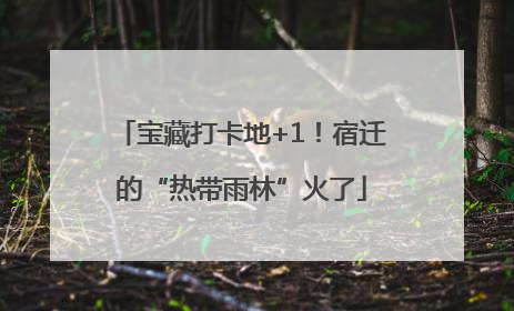 宝藏打卡地+1！宿迁的“热带雨林”火了