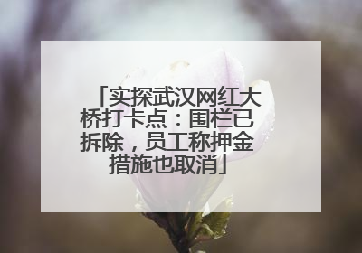 实探武汉网红大桥打卡点：围栏已拆除，员工称押金措施也取消