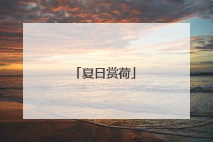 夏日赏荷