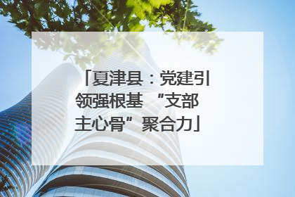 夏津县：党建引领强根基 “支部主心骨”聚合力