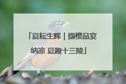 夏耘生辉｜撷樱品宴纳凉 夏趣十三陵
