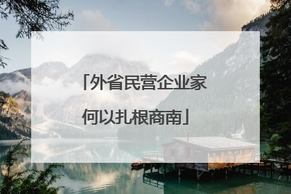 外省民营企业家何以扎根商南