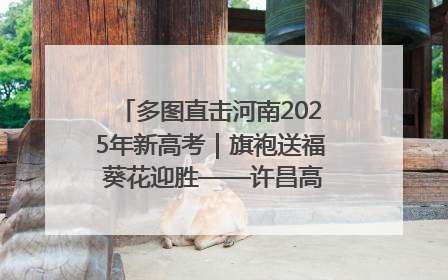 多图直击河南2025年新高考｜旗袍送福 葵花迎胜——许昌高考首日拉开帷幕