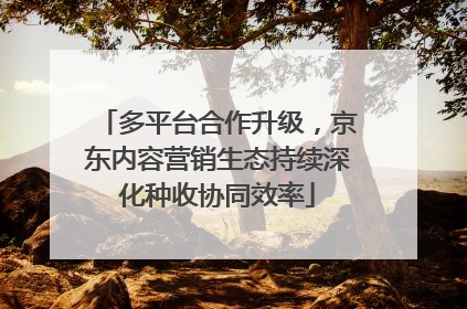 多平台合作升级，京东内容营销生态持续深化种收协同效率
