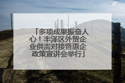 多项成果振奋人心！丰泽区外贸企业供需对接暨惠企政策宣讲会举行