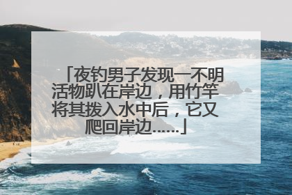 夜钓男子发现一不明活物趴在岸边，用竹竿将其拨入水中后，它又爬回岸边……