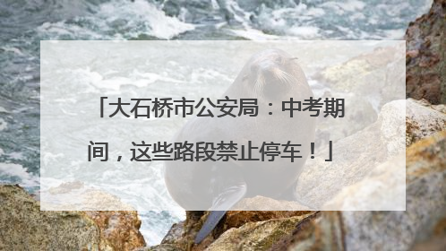 大石桥市公安局：中考期间，这些路段禁止停车！