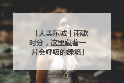 大美东城｜雨歇时分，这里藏着一片会呼吸的绿境
