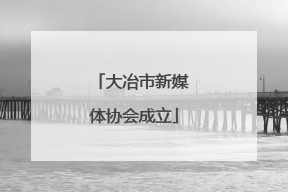 大冶市新媒体协会成立