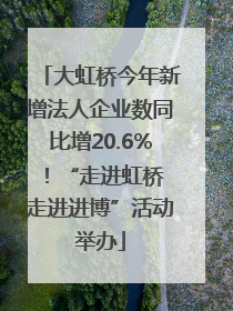 大虹桥今年新增法人企业数同比增20.6%！“走进虹桥 走进进博”活动举办