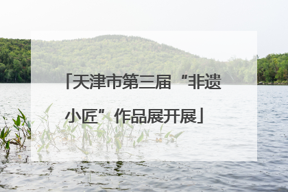 天津市第三届“非遗小匠”作品展开展