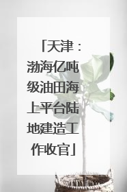 天津：渤海亿吨级油田海上平台陆地建造工作收官