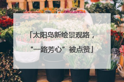 太阳岛新绘景观路，“一路芳心”被点赞