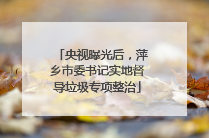 央视曝光后，萍乡市委书记实地督导垃圾专项整治