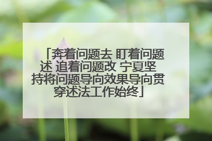 奔着问题去 盯着问题述 追着问题改 宁夏坚持将问题导向效果导向贯穿述法工作始终
