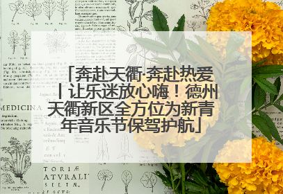 奔赴天衢·奔赴热爱丨让乐迷放心嗨！德州天衢新区全方位为新青年音乐节保驾护航