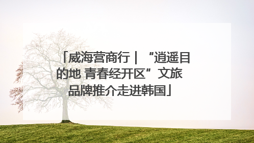 威海营商行｜“逍遥目的地 青春经开区”文旅品牌推介走进韩国