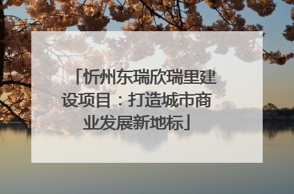 忻州东瑞欣瑞里建设项目：打造城市商业发展新地标