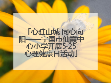 心驻山城 同心向阳——宁国市仙霞中心小学开展5·25心理健康日活动