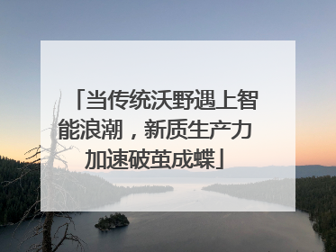 当传统沃野遇上智能浪潮，新质生产力加速破茧成蝶