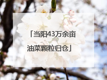 当阳43万余亩油菜颗粒归仓
